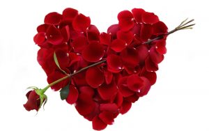 poruke-za-valentinovo-1-ruža